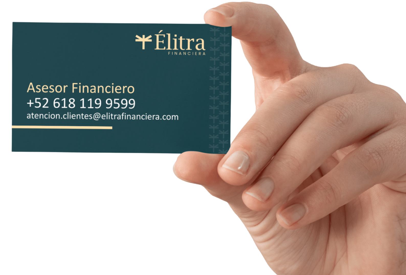 card-elitra